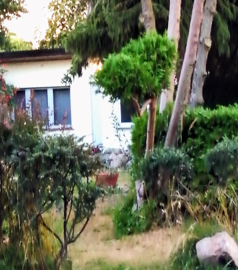 Auszeit Daire Friedland  Dış mekan fotoğraf